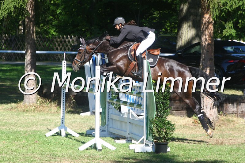 308M2805_Stil Mx_Stechen.JPG